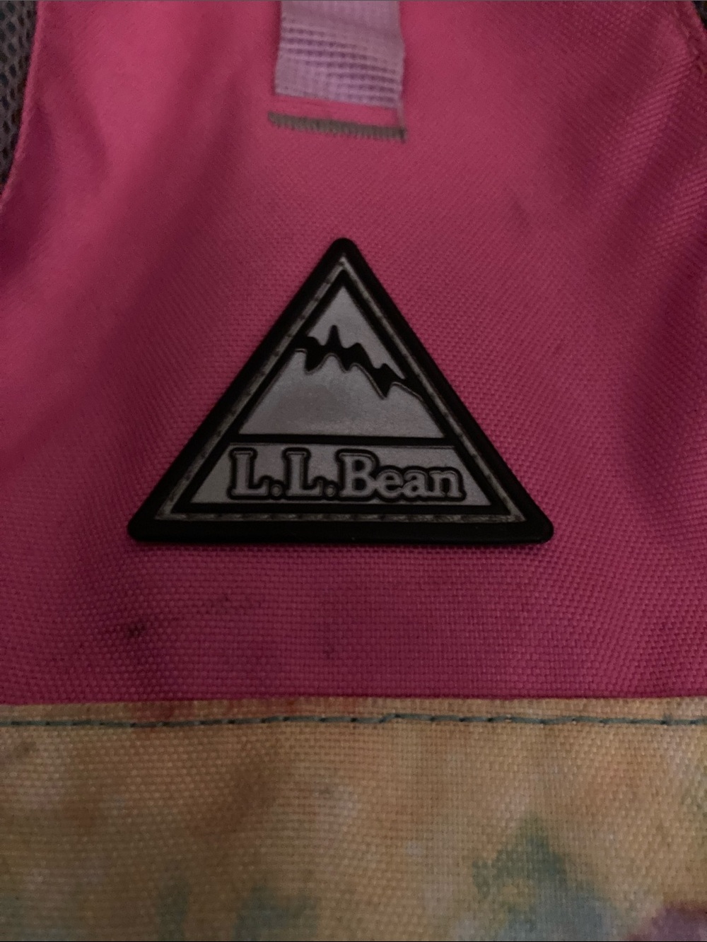 LL bean backpack explorer backpack new with out tags ! - Picture 5 of 9